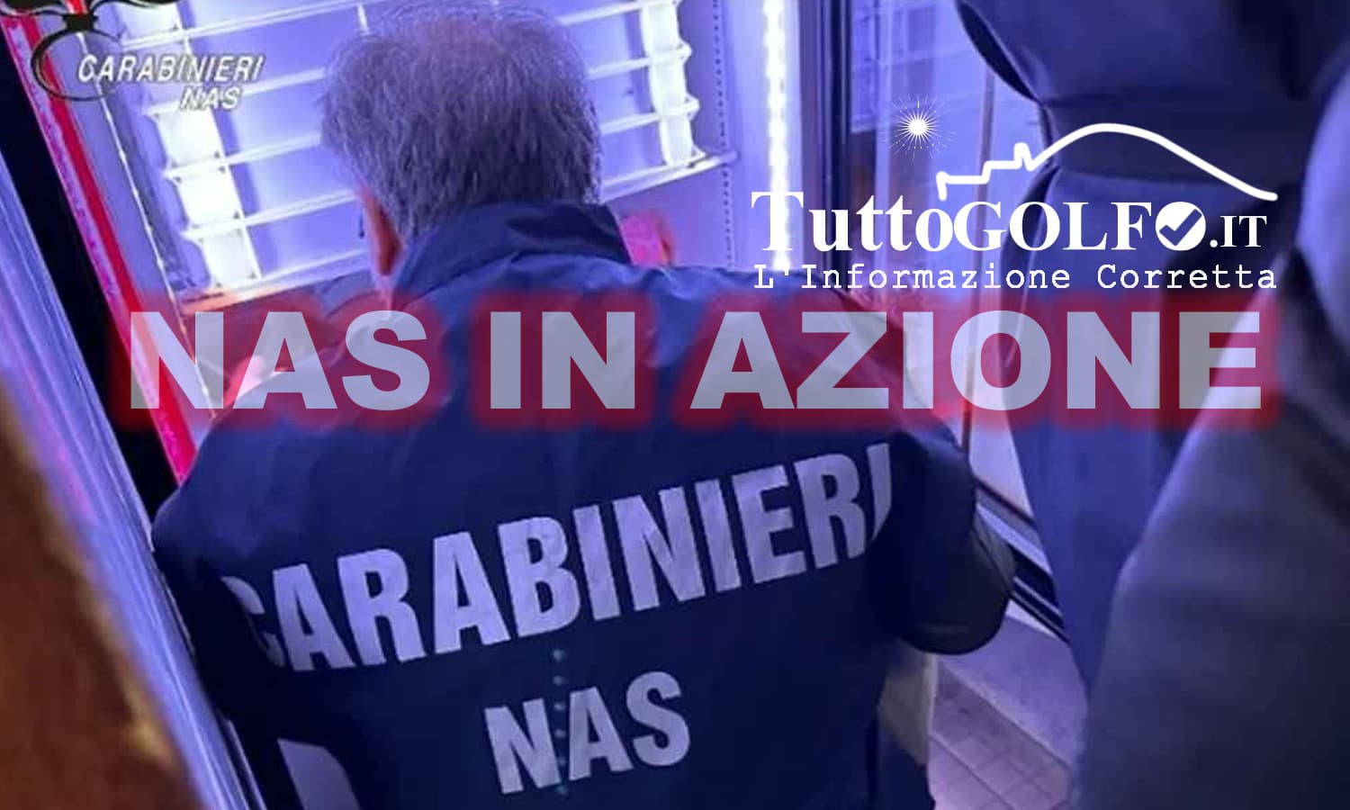 Salmone, carne e formaggi irregolari: 160 kg di alimenti sequestrati dai NAS