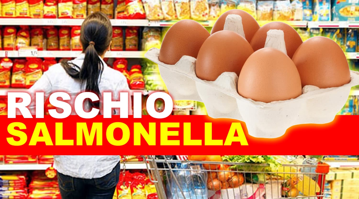 Uova richiamate per Salmonella, coinvolti tre marchi: il lotto da controllare