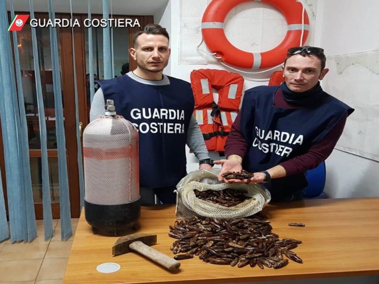 Gaeta- Guardia Costiera: contrasto alla pesca di frodo di “datteri di mare”, denuncia e sequestro del provento dell’attività illecita