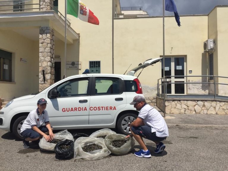 Formia, sequestrati 160 kg di cozze dalla Guardia Costiera