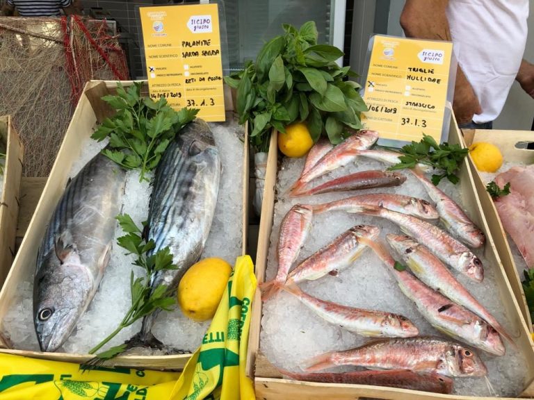 FERMO PESCA, DAL 14 SETTEMBRE AL 13 OTTOBRE