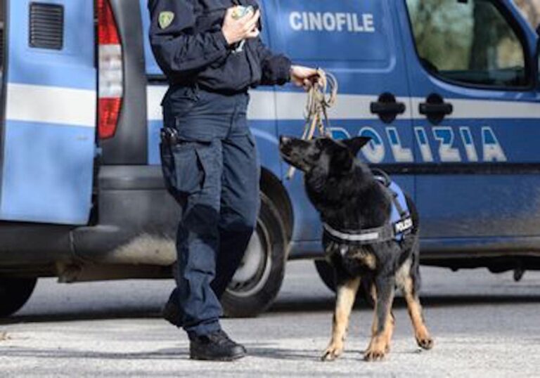 Formia: Guardia di Finanza e Polizia smantellano un sodalizio criminale, 14 arresti nel sud pontino