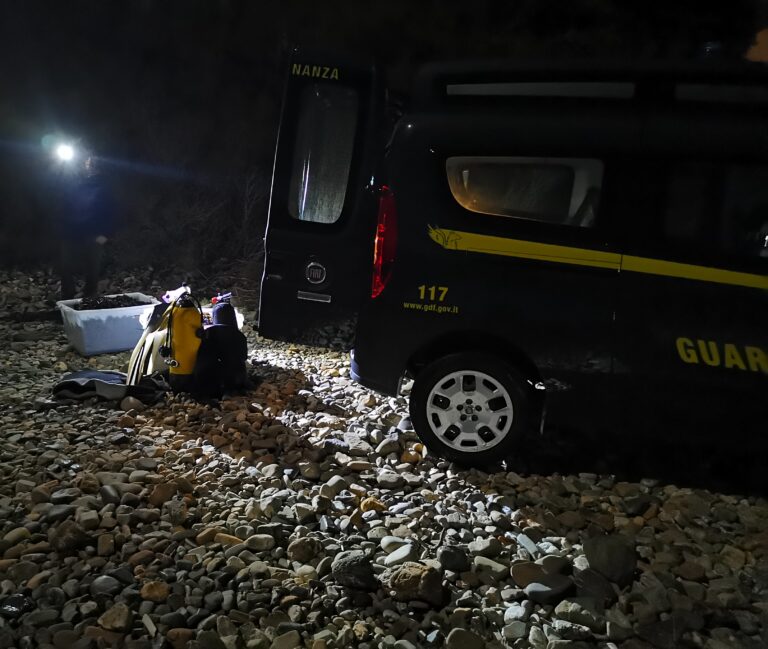 Sequestrati 2.000 ricci di mare. Multe salatissime