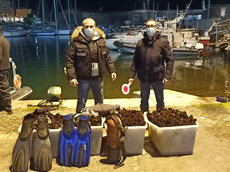 Fermati con 10.000 ricci di mare. Nei guai due giovani sub