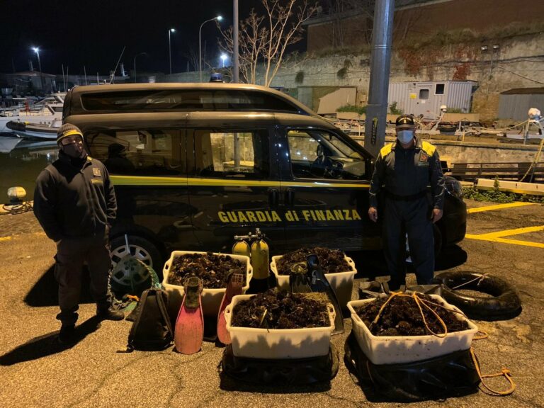 Pescavano ricci di mare da vendere per il “Cenone di Capodanno”