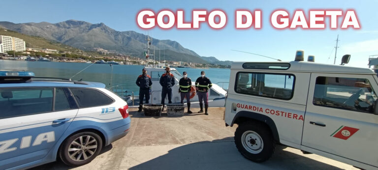 Golfo di Gaeta, ricci di mare: sequestro e sanzioni ai pescatori 