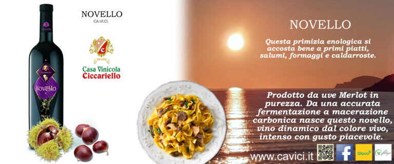 Novello CAVICI – Prodotto da uve Merlot in purezza