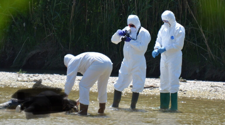 Ricerca persona scomparsa. Trovato un cadavere