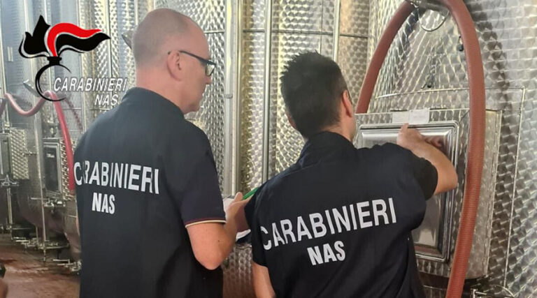 CARABINIERI NAS LATINA: CHIUSA UNA CANTINA VINICOLA