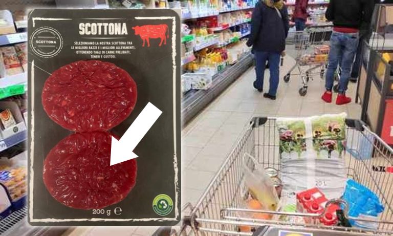 Possibile contaminazione da salmonella in un lotto di Carne di Scottona