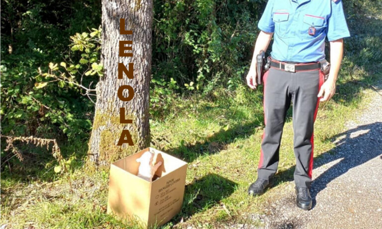 Lenola – Abbandonano tre cuccioli in un cartone
