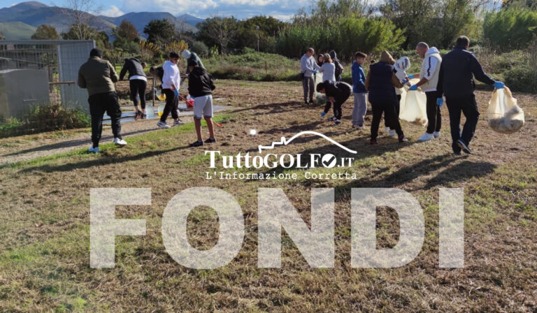 Fondi, aggiudicato il bando Ossigeno: in arrivo 800 esemplari tra alberi e arbusti