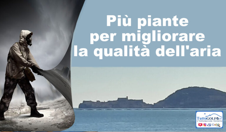Più verde, 640.000 nuove piante tra alberi e arbusti per migliorare la qualità dell’aria del Lazio. Ecco dove